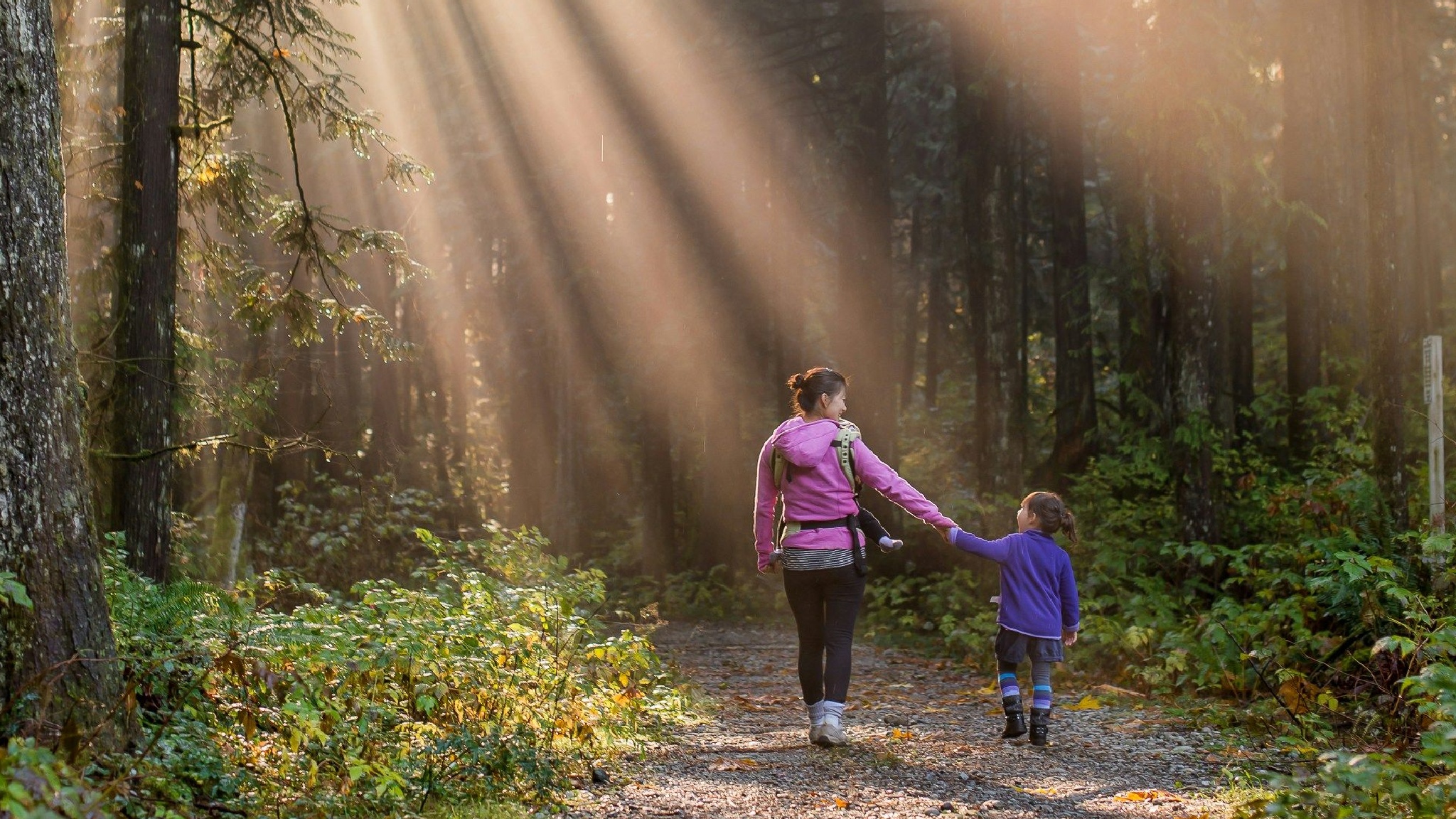 Guide The surprising benefits of choosing a “living legacy” for your